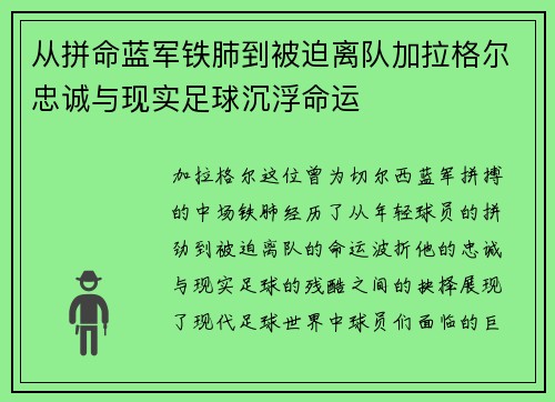 从拼命蓝军铁肺到被迫离队加拉格尔忠诚与现实足球沉浮命运